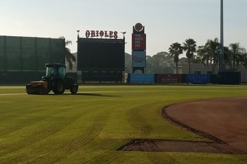 OVERSEEDING