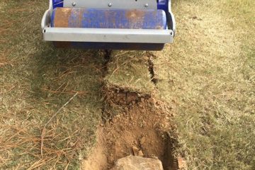 ROOT PRUNING
